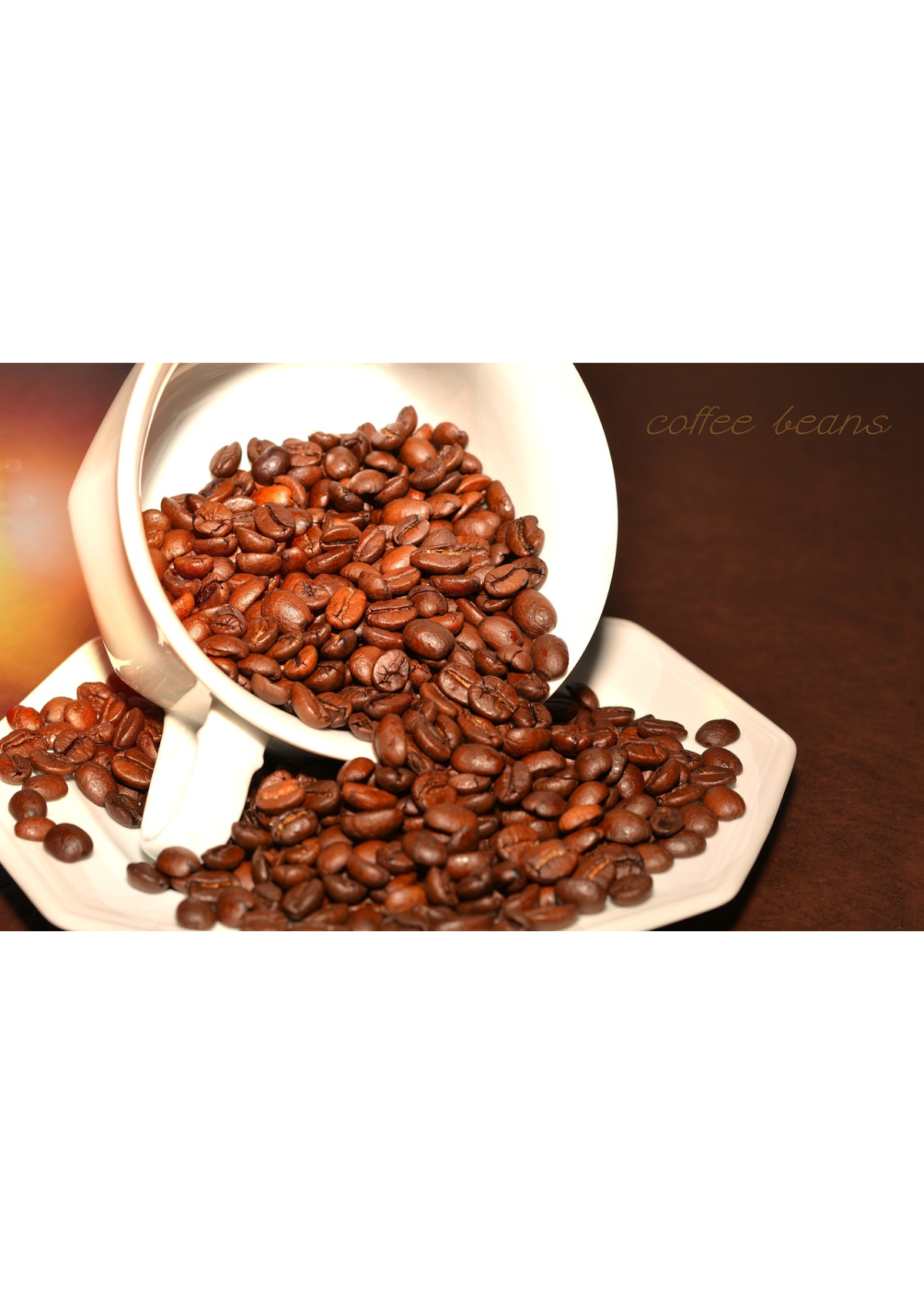 Sip And Savor The 5 Best Light Roast Coffee Brands   Best Light Roast Coffee   Main 