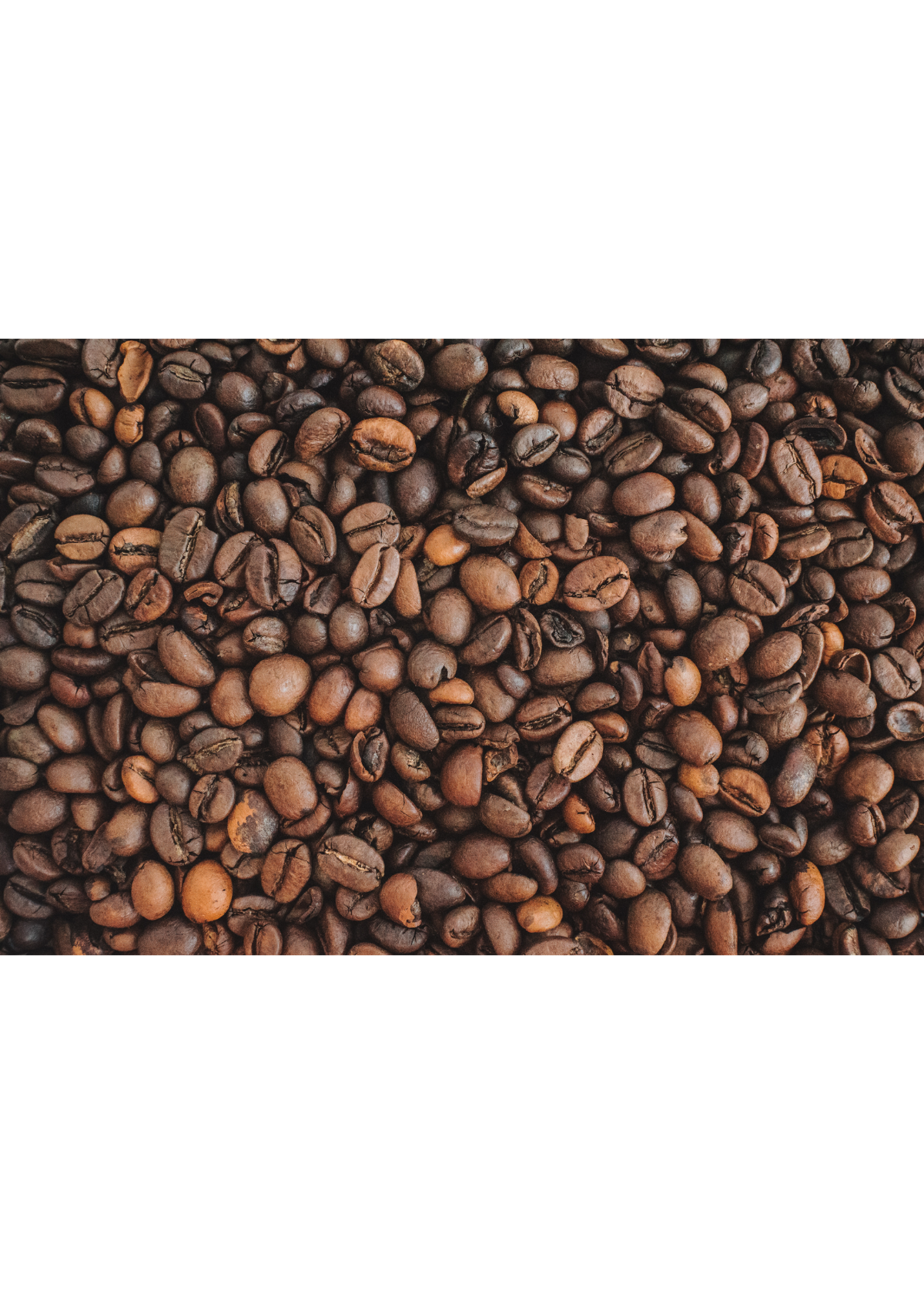 Bean There, Done That: The 5 Best Coffee Beans You Must Try!