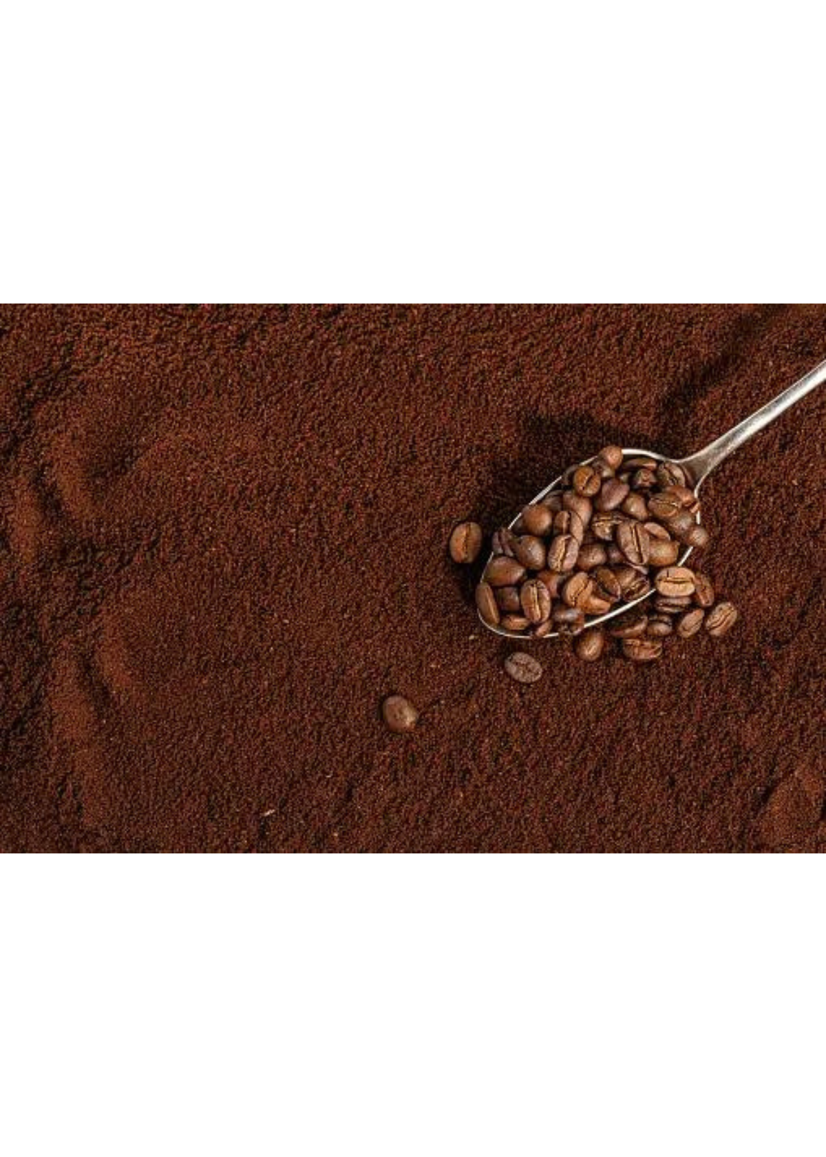 Savor the Flavor: Top 5 Best Ground Coffee Picks Reviewed!