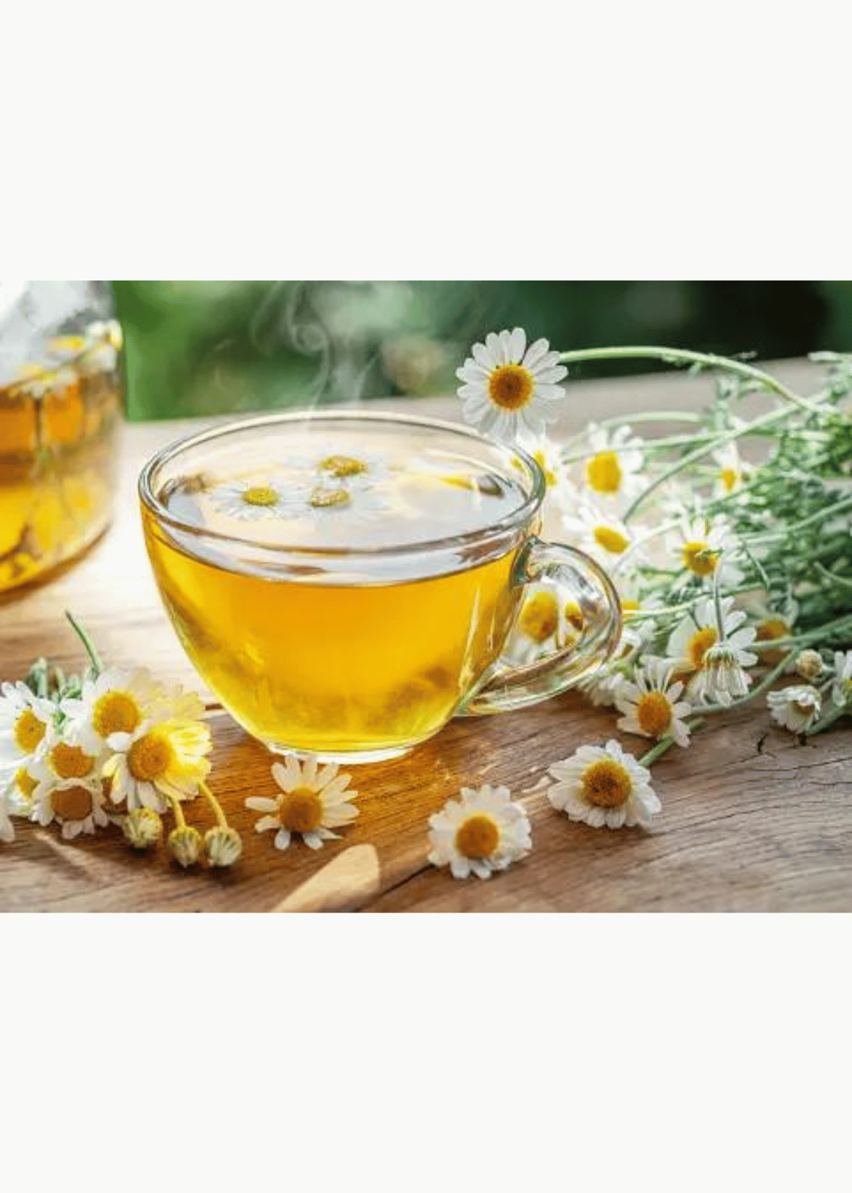 Get a Good Night’s Sleep and Relaxation with Chamomile Tea!