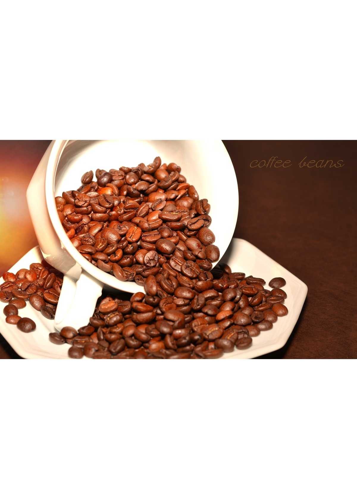 Sip and Savor: The 5 Best Light Roast Coffee Brands