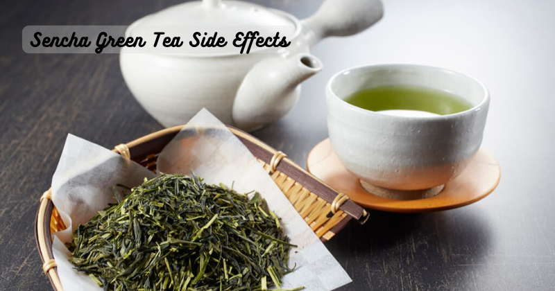 Sencha Green Tea Side Effects