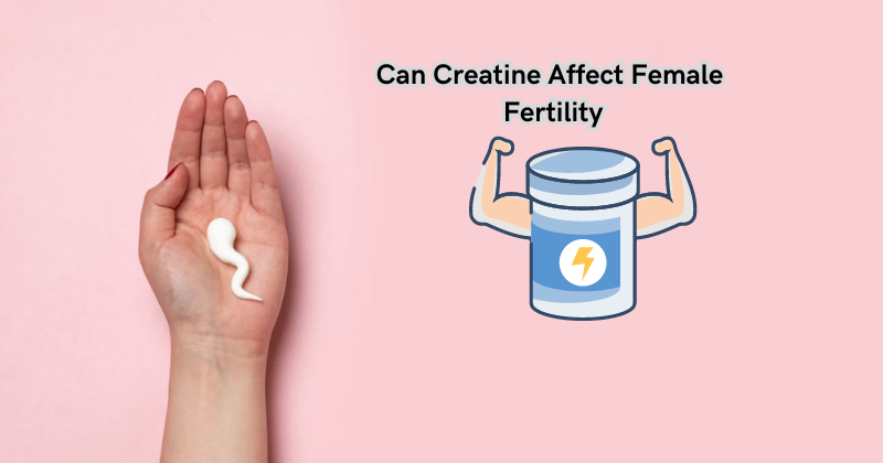 Can Creatine Affect Female Fertility