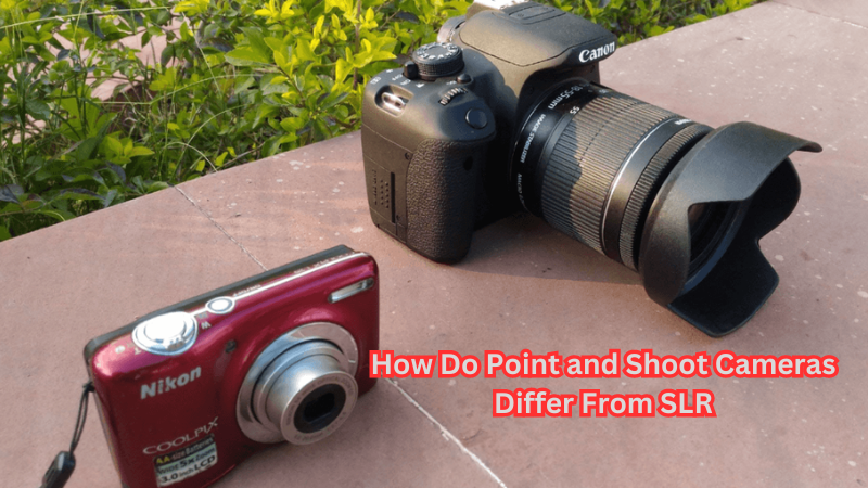 How Do Point and Shoot Cameras Differ From SLR