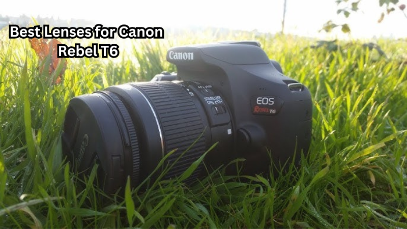 The Ultimate Guide to the Best Lenses for Canon Rebel T6: Enhance Your Shots