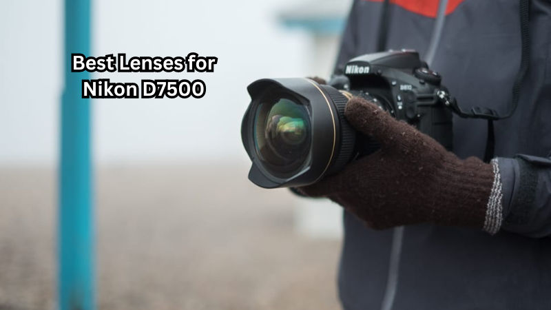 Unlock Full Potential: With the Best Lenses for Nikon D7500